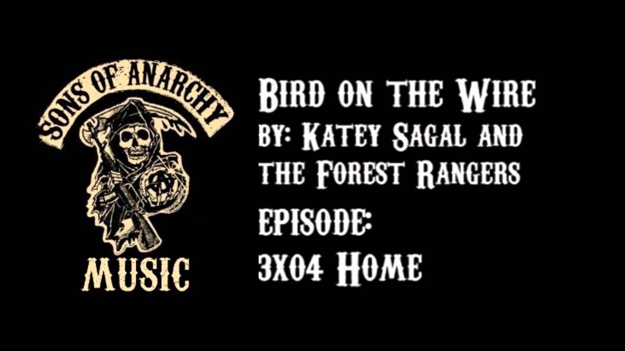 Bird On A Wire Lyrics - Katey Sagal Featuring The Forest Rangers