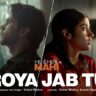 रोया जब तू Roya Jab Tu Lyrics in Hindi – Mr. & Mrs. Mahi (Vishal Mishra)