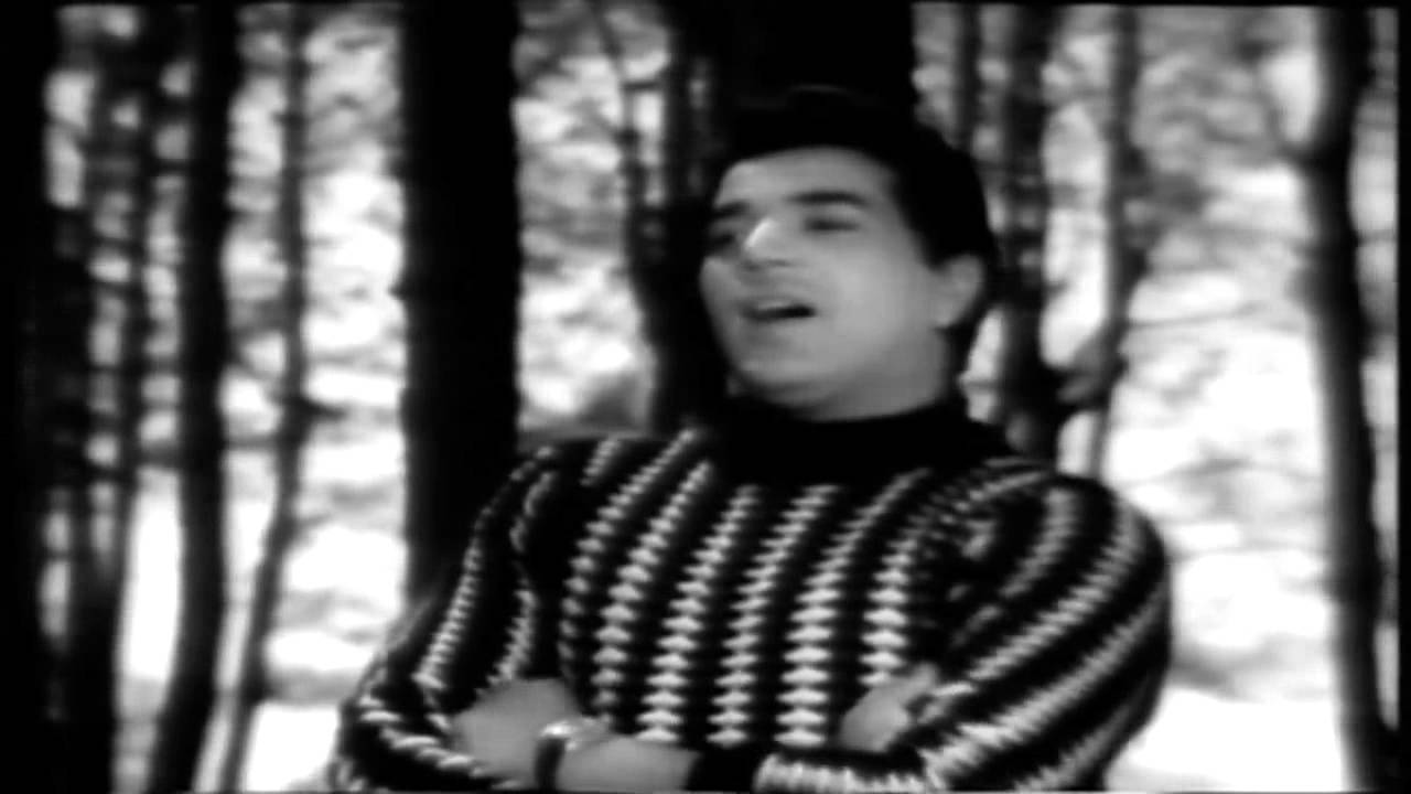 एक हसीन शाम को दिल मेरा खो गया Ek Haseen Sham Ko Dil Mera Kho Gaya Lyrics In Hindi- Mohammed Rafi-Dulhan Ek Raat Ki (1967)