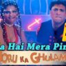 KHULA HAI MERA PINJARA LYRICS - Alka Yagnik, Kumar Sanu | Joru Ka Gulam