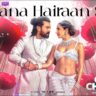 जाना हैरान सा Jaana Hairaan Sa lyrics in Hindi – Game Changer(2024)