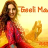 गीली माचिस Geeli Maachis Lyrics in Hindi – Vanvaas(2024)