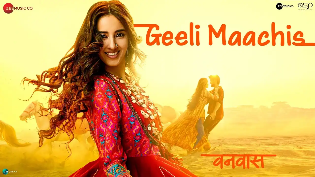 गीली माचिस Geeli Maachis Lyrics in Hindi – Vanvaas(2024)