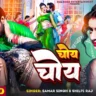 चोय चोय Bhojpuri Song Lyrics | Choy Choy Bhojpuri Song Lyrics – Samar Singh & Shilpi