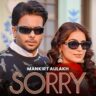 SORRY Lyrics In Hindi - Mankirt Aulakh, Jasmin Akhtar