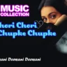 Deewani Deewani Deewani Deewani Lyrics In Hindi - Anaida, Anu Malik | Chori Chori Chupke Chupke