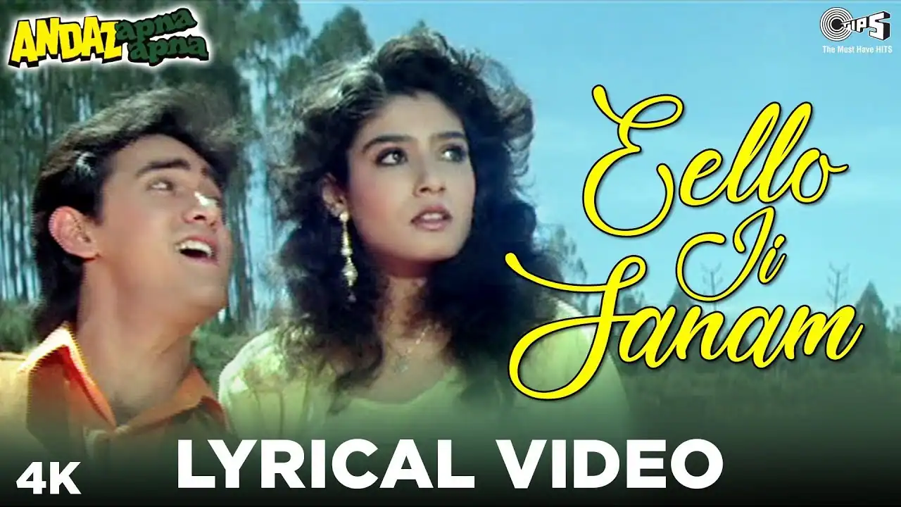 ELO JI SANAM HUM AA GAYE LYRICS - Vicky Mehta, Bahroz Chatterji | Andaz Apna Apna