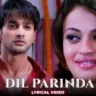 Dil Parinda Lyrics In Hindi- Bezubaan Ishq | Mugdha, Sneha, Nishant | Tochi Raina, Anita Bhatt