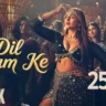 दिल थाम के Dil Thaam Ke Lyrics in Hindi – Maalik
