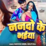 ननदो के भईया Nanado Ke Bhaiya Song Lyrics In Hindi– Sarvesh Singh & Shilpi Raj