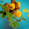 किक्रां दे फुल Kikraan De Phull Lyrics in Hindi – Arjan Dhillon