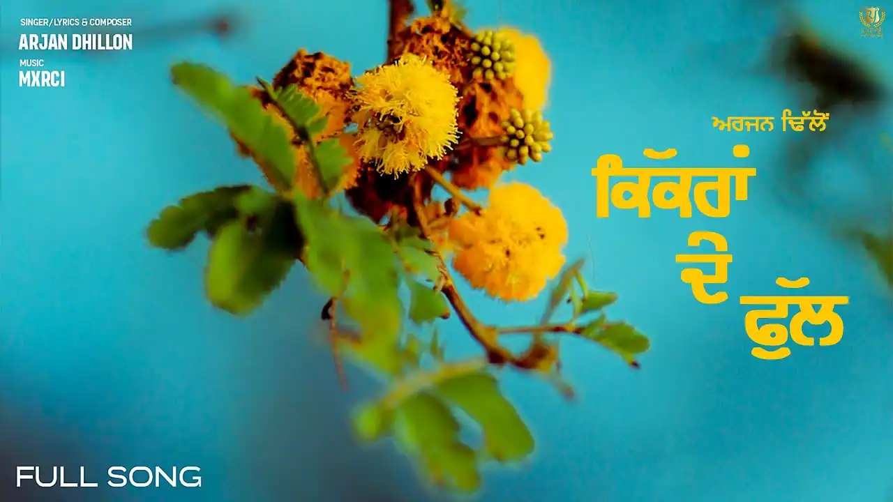 किक्रां दे फुल Kikraan De Phull Lyrics in Hindi – Arjan Dhillon