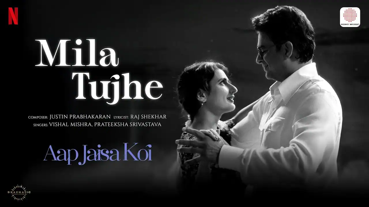 मिला तुझे Mila Tujhe Lyrics in Hindi – Aap Jaisa Koi