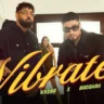 वाइब्रेट Vibrate Lyrics in Hindi – KR$NA & Badshah