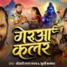 गेरूआ कलर Gerua Colour Lyrics In Hindi - Khesari Lal Yadav, Khushi Kakkar