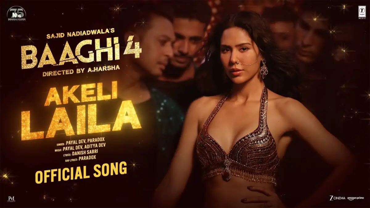 अकेली लैला Akeli Laila Lyrics in Hindi – Baaghi 4(2025)