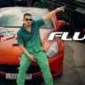 नो फ्लूक No Fluke Lyrics In Hindi - Dhanda Nyoliwala | No Fluke