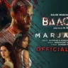 मरजाना Marjaana Lyrics in Hindi – Baaghi 4(2025)