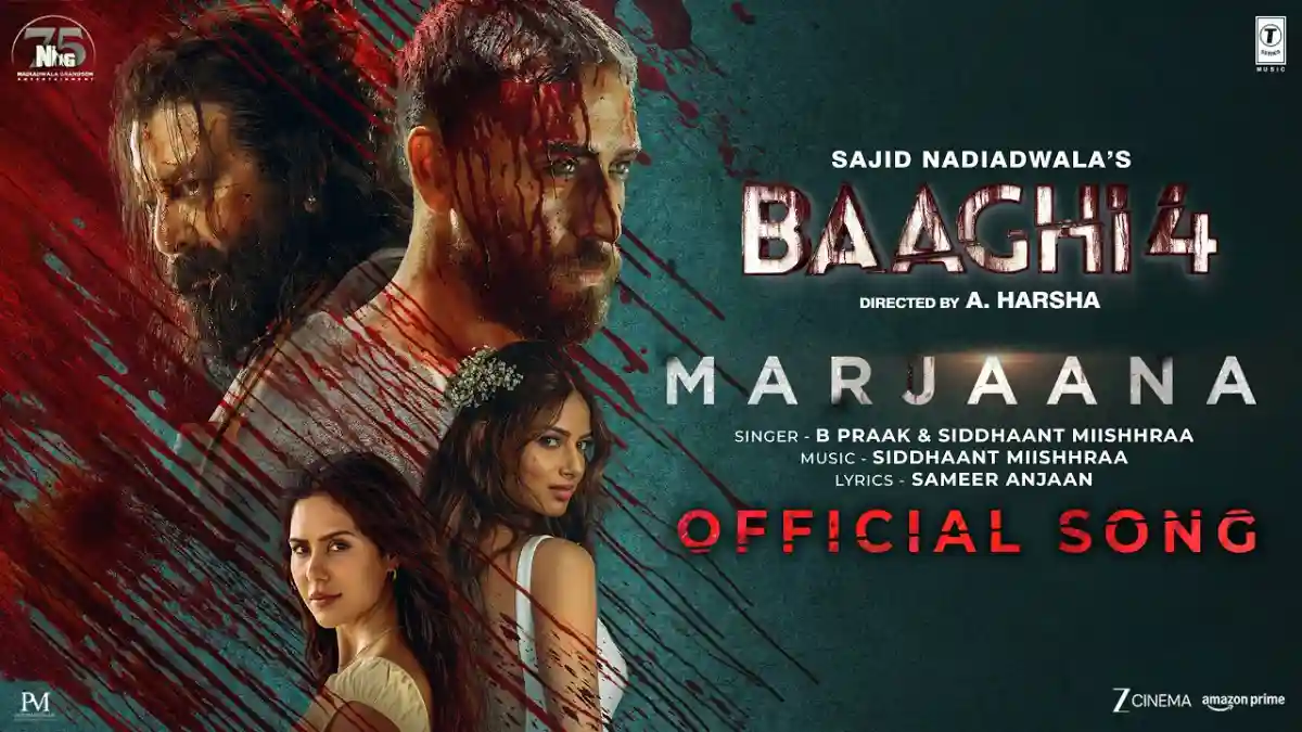 मरजाना Marjaana Lyrics in Hindi – Baaghi 4(2025)