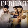 परफेक्ट Perfect Lyrics in Hindi – Sunny Sanskari Ki Tulsi Kumari(2025),Guru Randhawa