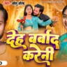 Deh Barbad Kareni | देह बर्बाद करेनी - Golu Gold Song Lyrics