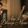 आप इस धूप में Aap Is Dhoop Mein Lyrics in Hindi – Gustaakh Ishq (2025) (Arijit Singh)