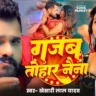 गजब तोहर नैना Gajab Tohar Naina - Khesari Lal Yadav Bhojpuri Song Lyrics
