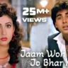 जाम वो है जो भर के छलकता है - Jaam Woh Hai Jo Bhar Ke Chhalakta Hai Lyrics - Sainik (1993)