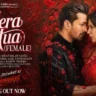 मेरा हुआ Mera Hua (Female) Lyrics in Hindi – Ek Deewane Ki Deewaniyat (2025)