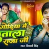 गोदिया में सुताल राजा जी Godiya Me Sutala Raja Ji Lyrics – Shivani Singh