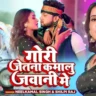गोरी जेतना कमालु जवानी में Gori Jetana Kamalu Jawani Me Lyrics In Hindi – Neelkamal Singh & Shilpi Raj