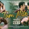 तुम मिले Tum Mile Lyrics in Hindi – Aryabhatt Ka Zero (2026)