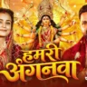 Hamari Anganawa | हमरी अंगनवा - Pawan Singh Devi Geet Lyrics